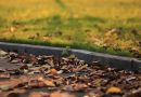 Fallen Leaves Pavement Lawn Leaves  - 传说中的顾彬清 / Pixabay