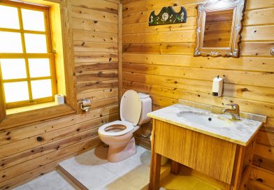 Bathroom Toilet Wood  - Engin_Akyurt / Pixabay