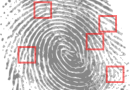 Fingerprint Detective Criminal  - OpenClipart-Vectors / Pixabay