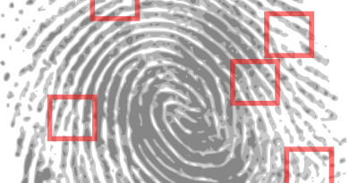 Fingerprint Detective Criminal  - OpenClipart-Vectors / Pixabay
