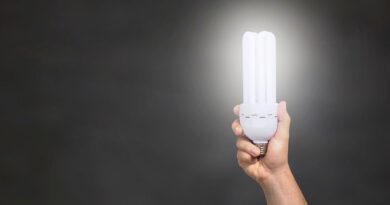 lamp, light, hand, idea, bulb, darkness, lighting, bright, shining, led, energy saving lamp, lamp, lamp, lamp, lamp, hand, idea, idea, idea, bulb, bulb, bulb, bulb, led, led, led, led, led