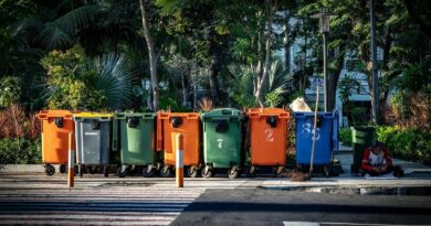 trash, bin, garbage, recycle, waste, plastic, disposal, container, environmental, box, can, environment, dustbin, junk, recycling, recycle, recycle, recycle, dustbin, dustbin, dustbin, dustbin, dustbin, recycling, recycling